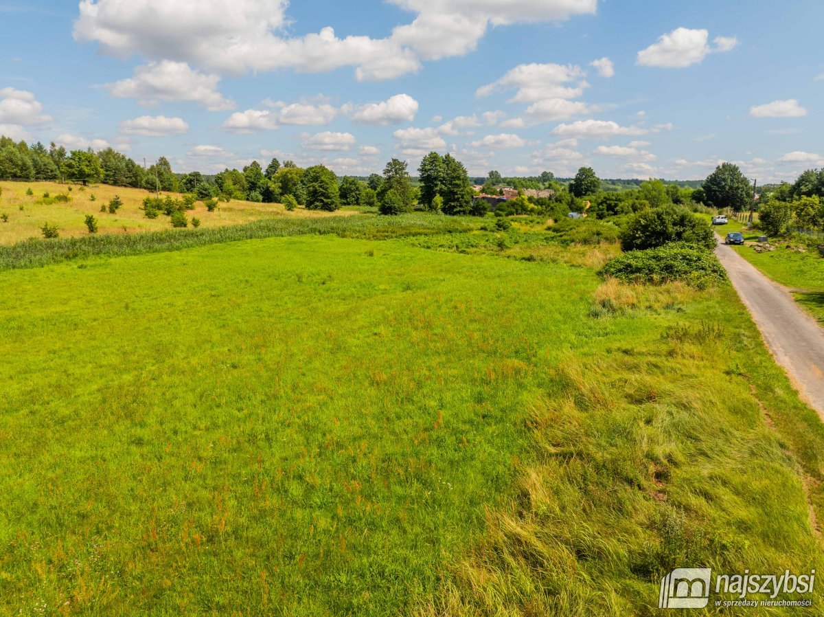 Chojna - atrakcyjna działka 2,32 ha  (11)