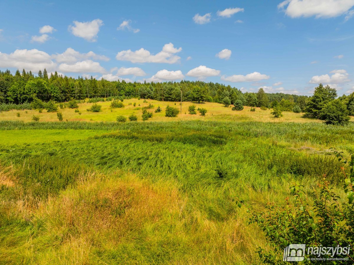 Chojna - atrakcyjna działka 2,32 ha  (12)