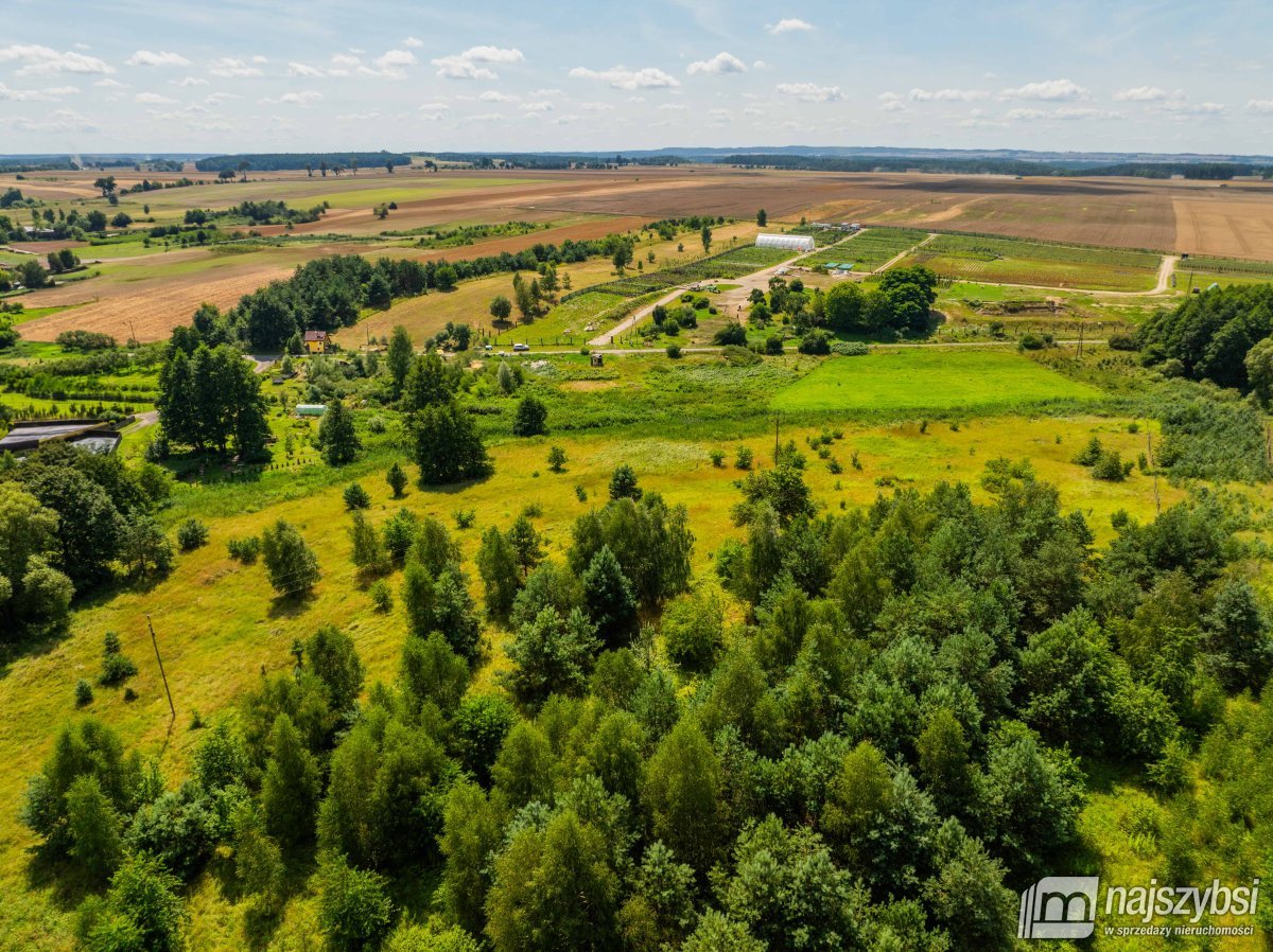 Chojna - atrakcyjna działka 2,32 ha  (3)