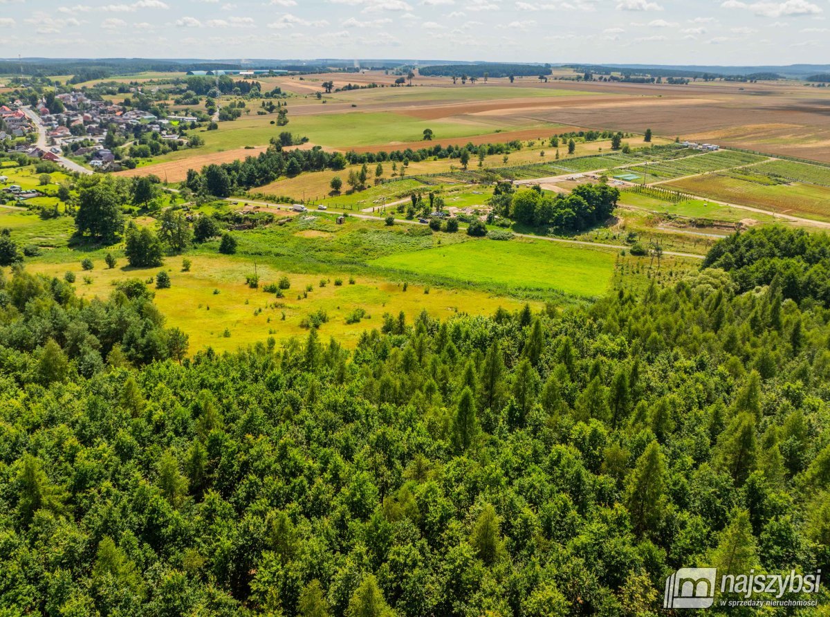 Chojna - atrakcyjna działka 2,32 ha  (4)