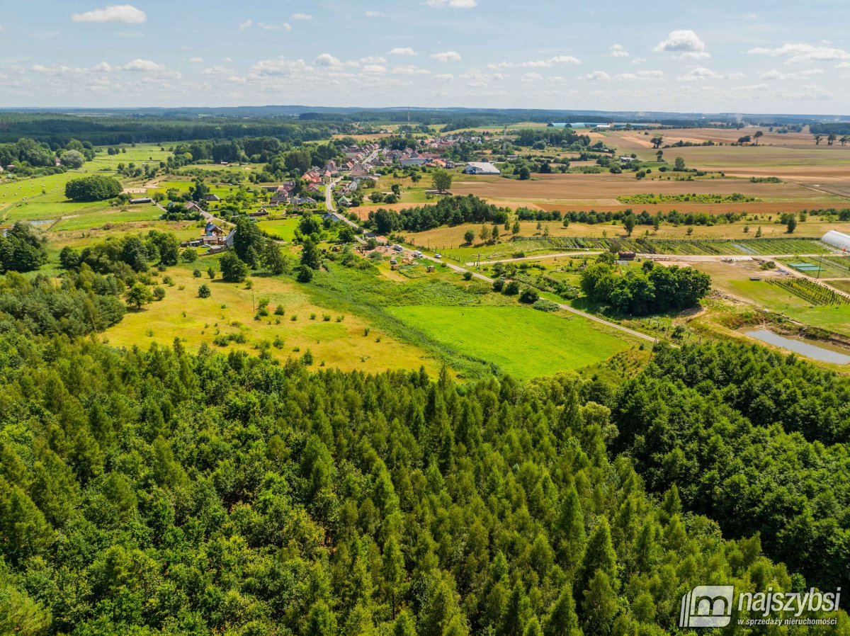 Chojna - atrakcyjna działka 2,32 ha  (5)