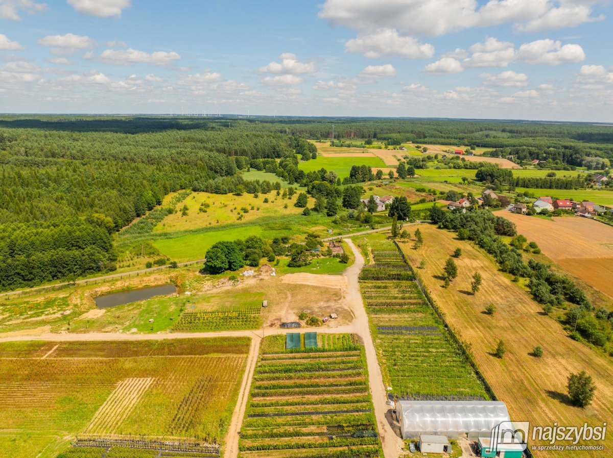 Chojna - atrakcyjna działka 2,32 ha  (6)