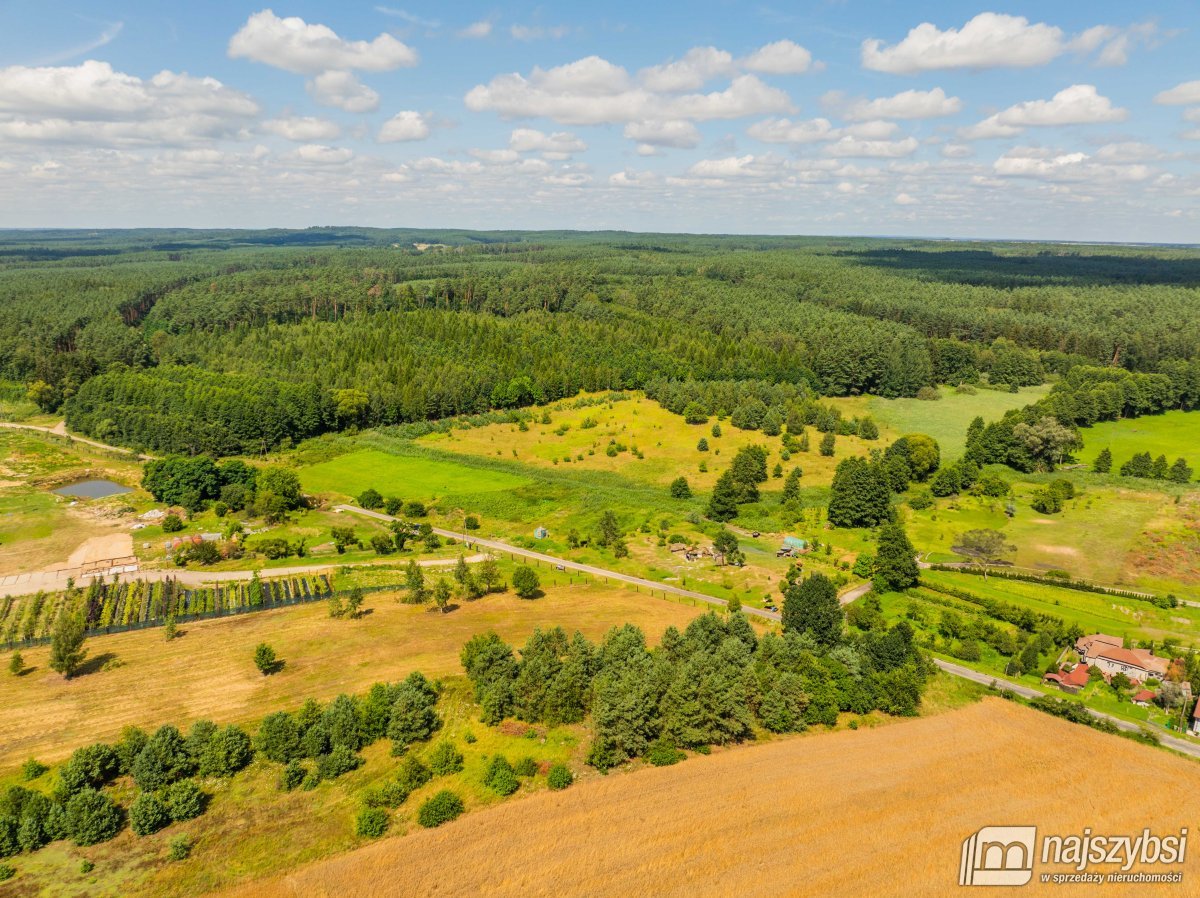 Chojna - atrakcyjna działka 2,32 ha  (9)