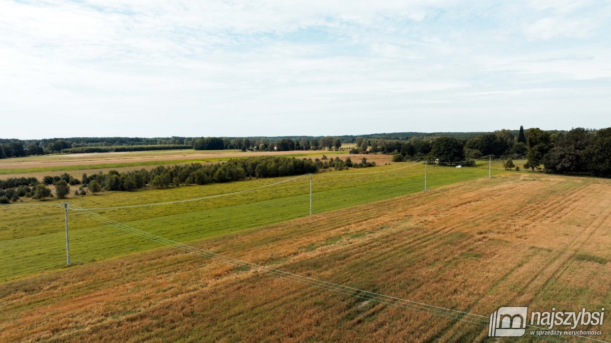 CZERMNICA ZIEMIA ROLNA 1,71 HA (13)