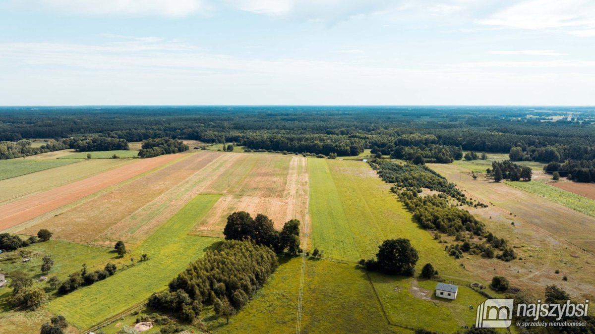 CZERMNICA ZIEMIA ROLNA 1,71 HA (7)