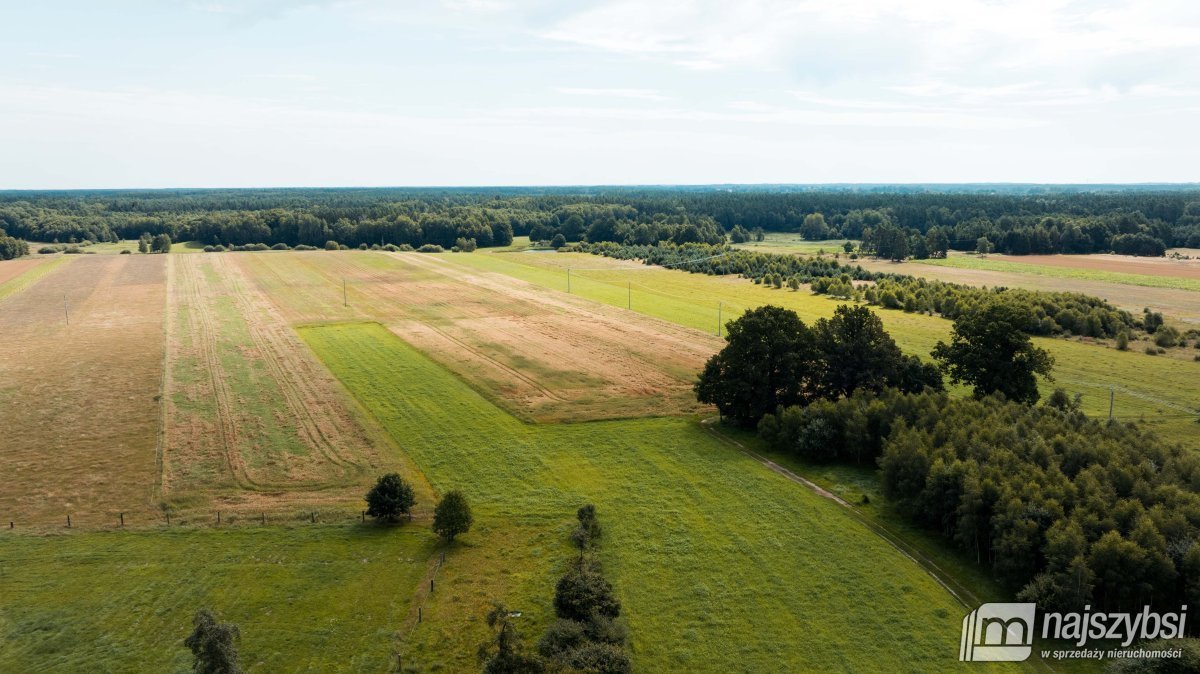 CZERMNICA ZIEMIA ROLNA 1,71 HA (9)