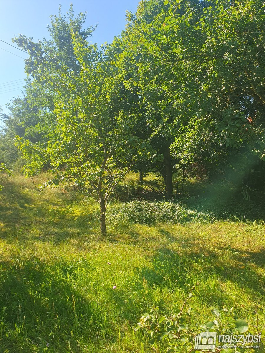 ŚWIĘTA- DZIAŁKA ROLNO-BUDOWLANA TOP LOKALIZACJA (8)