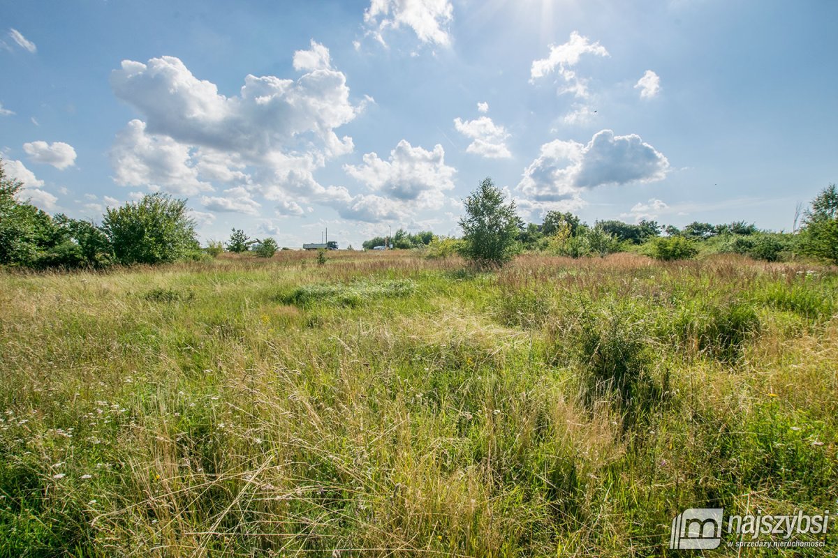 Trzebiatów - okolica, działki 11 km od morza! (11)