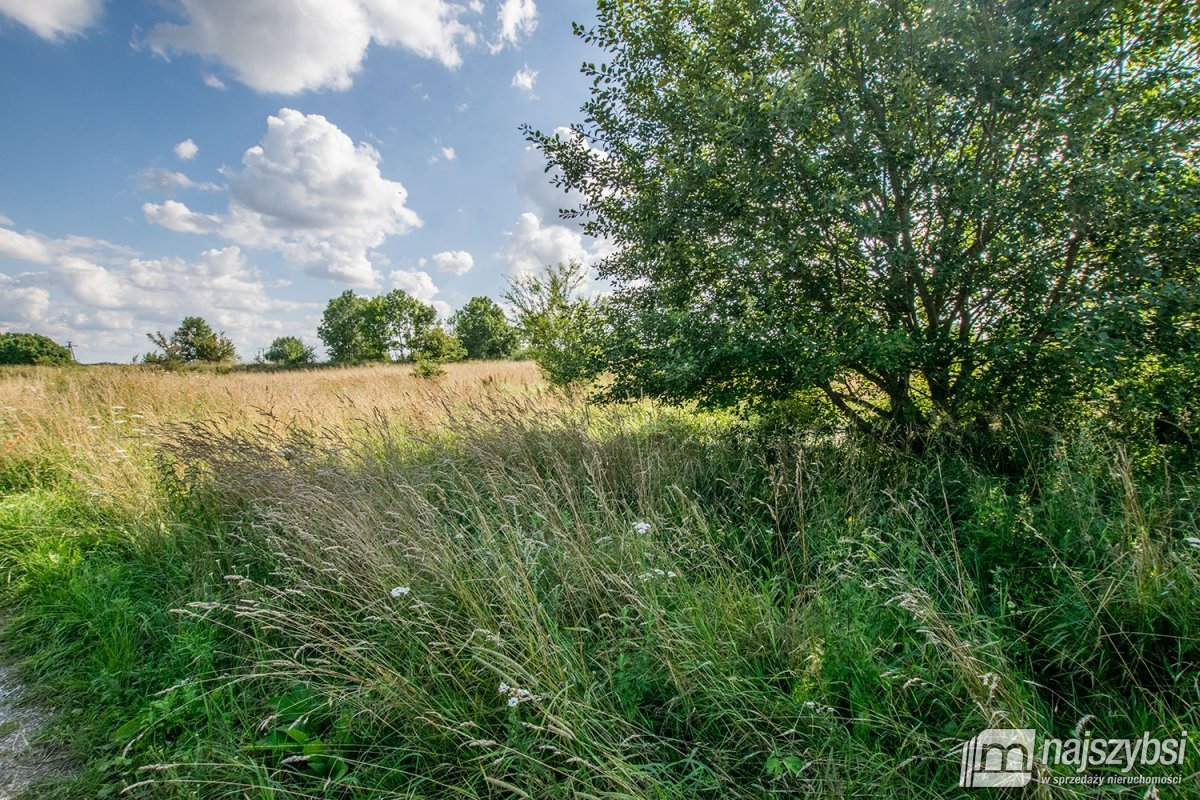 Trzebiatów - okolica, działki 11 km od morza! (4)