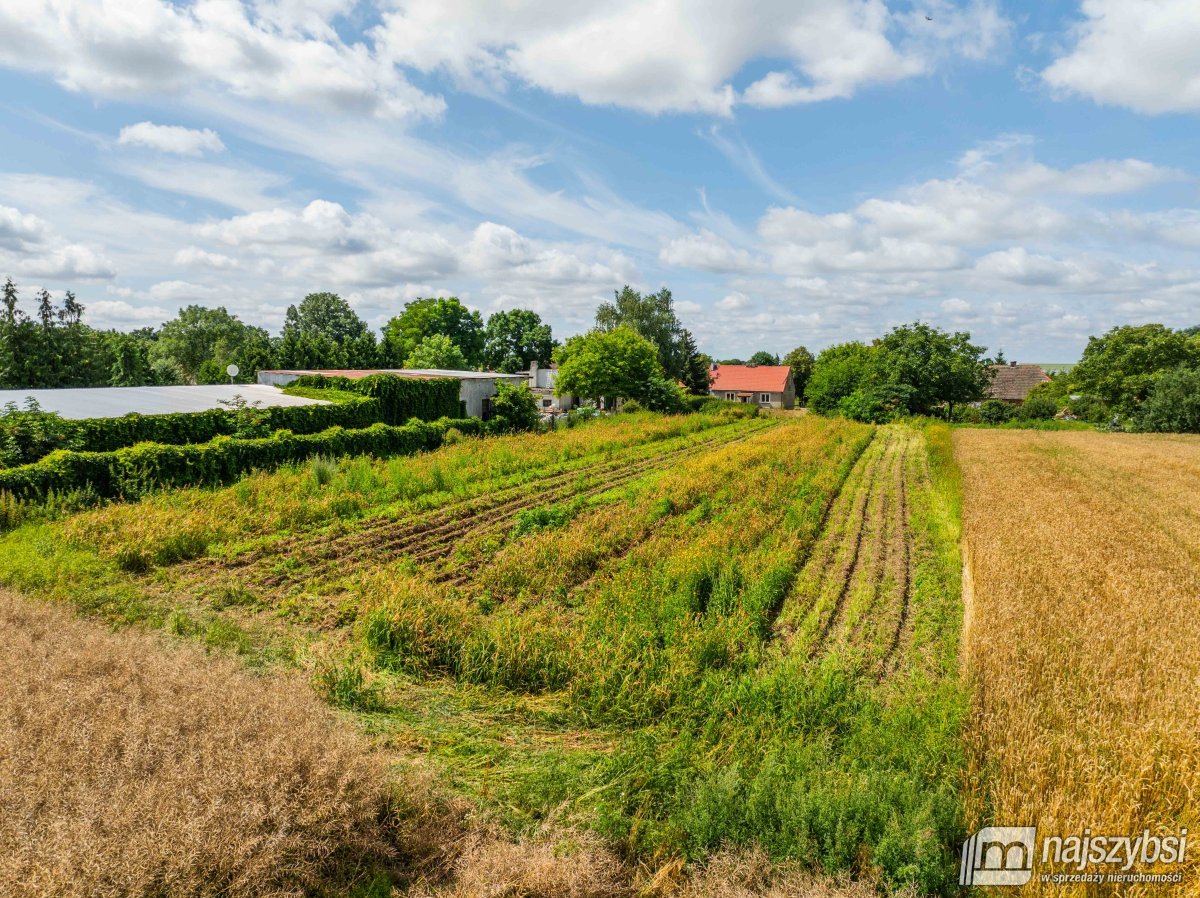 Barnim- dom na dużej działce (8)