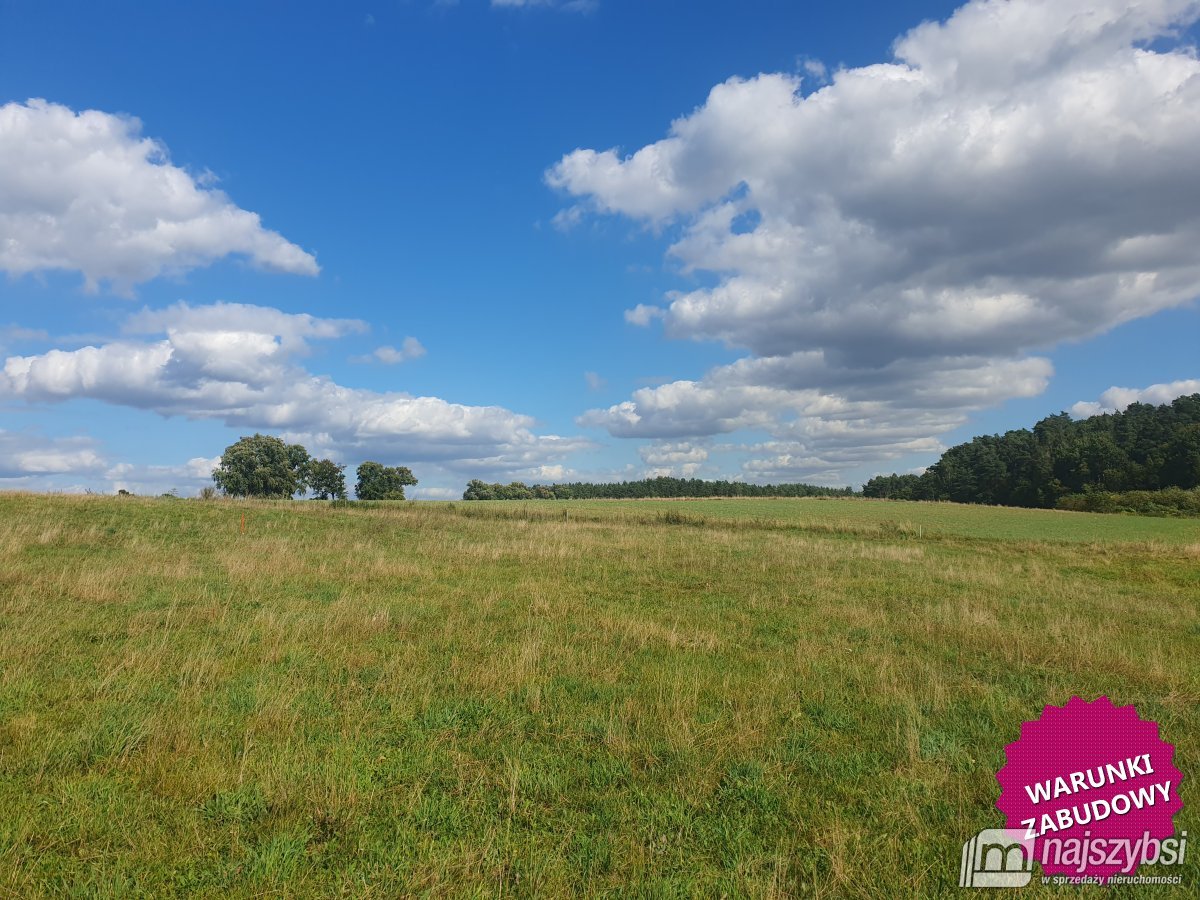 ŚWIĘTA- DZIAŁKA BUDOWLANA Z WARUNKAMI ZABUDOWY (4)