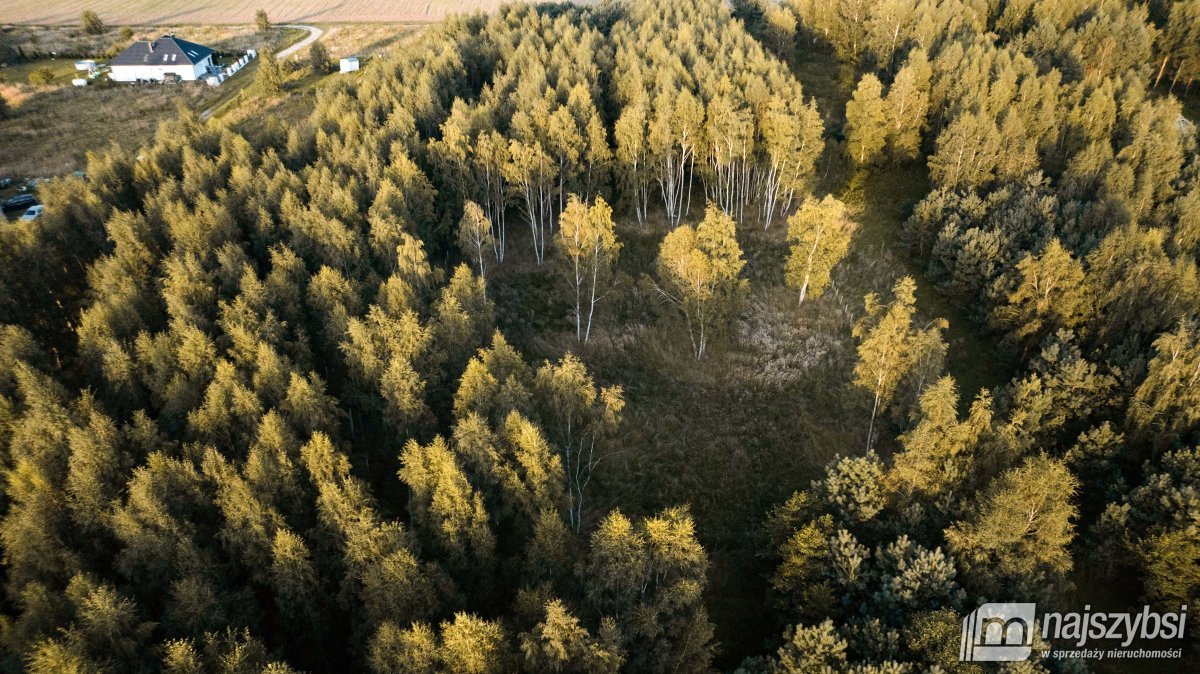 Sierosław- działka 300m od rzeki Dziwny. (3)