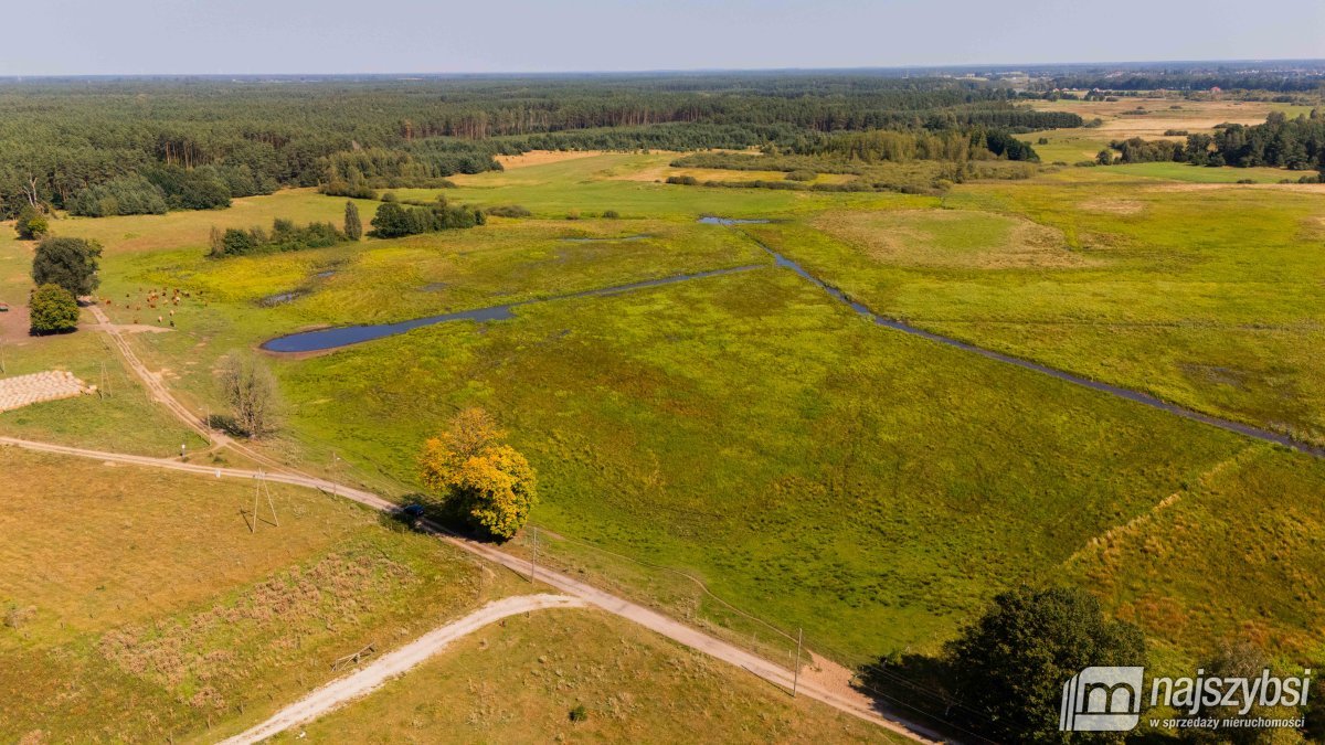 Przybiernów- Miodowice, gospodarstwo rolne 18 ha ziem (15)