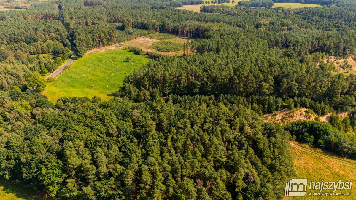 Przybiernów- Miodowice, gospodarstwo rolne 18 ha ziem (20)