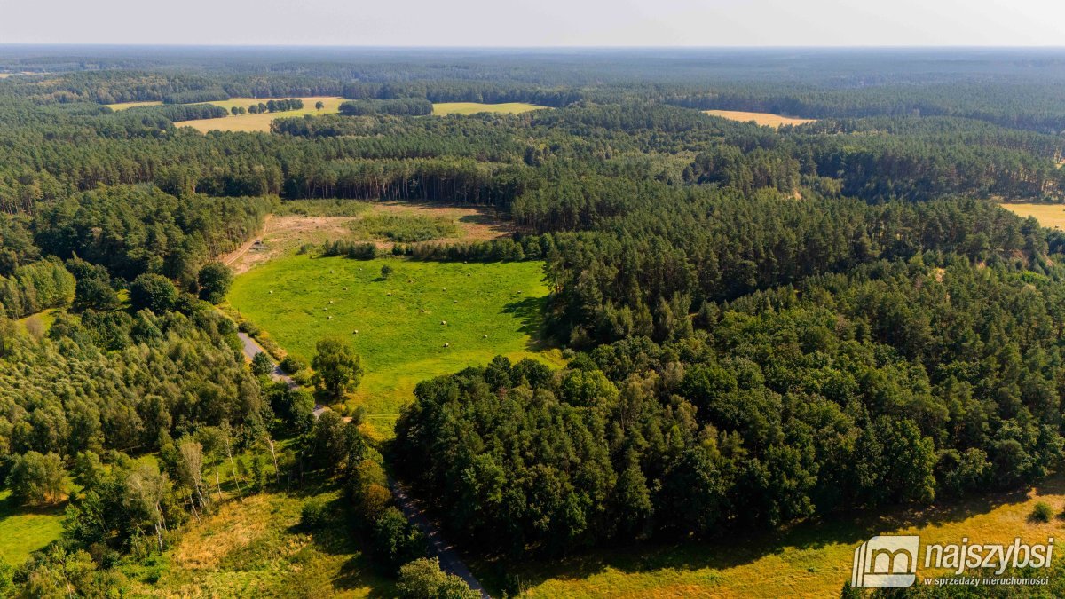 Przybiernów- Miodowice, gospodarstwo rolne 18 ha ziem (21)