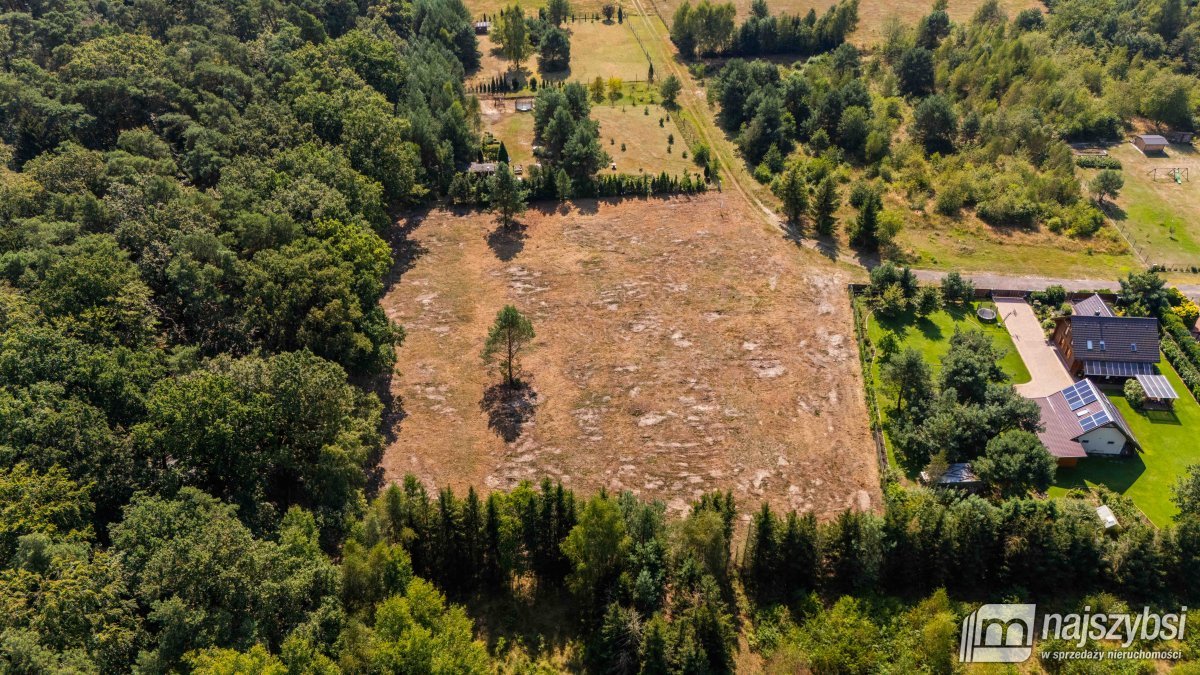 Krępsko- działka pod lasem z warunkami zabudowy (8)