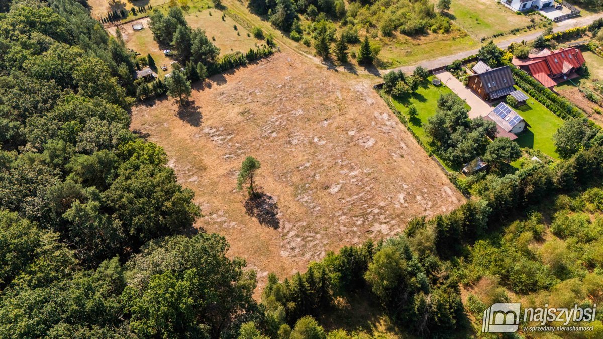 Krępsko- działka pod lasem z warunkami zabudowy (9)