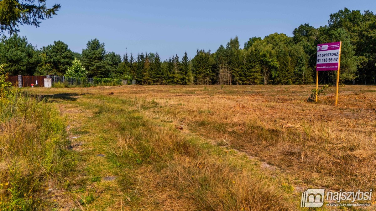 Krępsko- działka pod lasem z warunkami zabudowy (19)