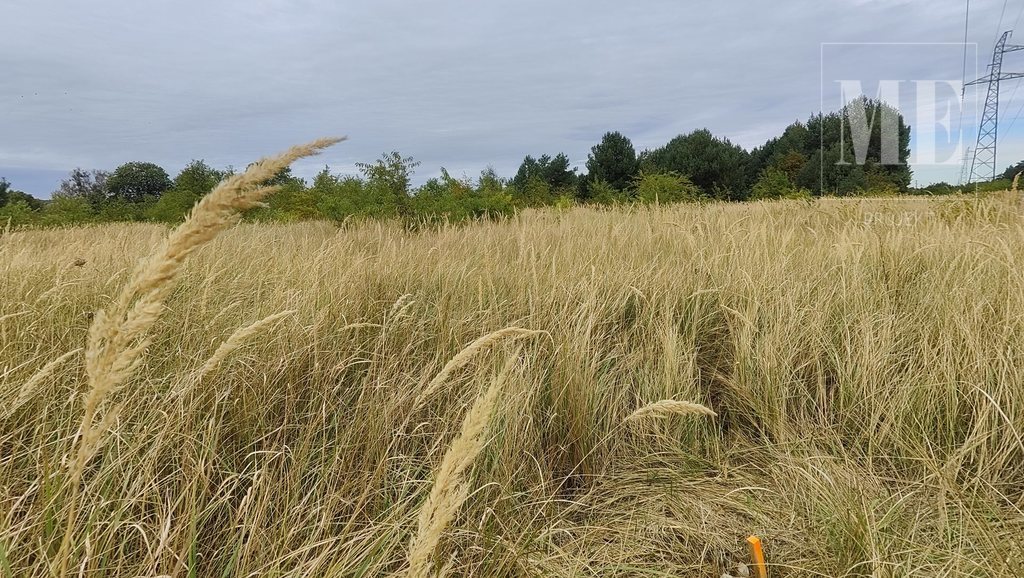 Działki w Rurzycy blisko las, lokata kapitału (8)