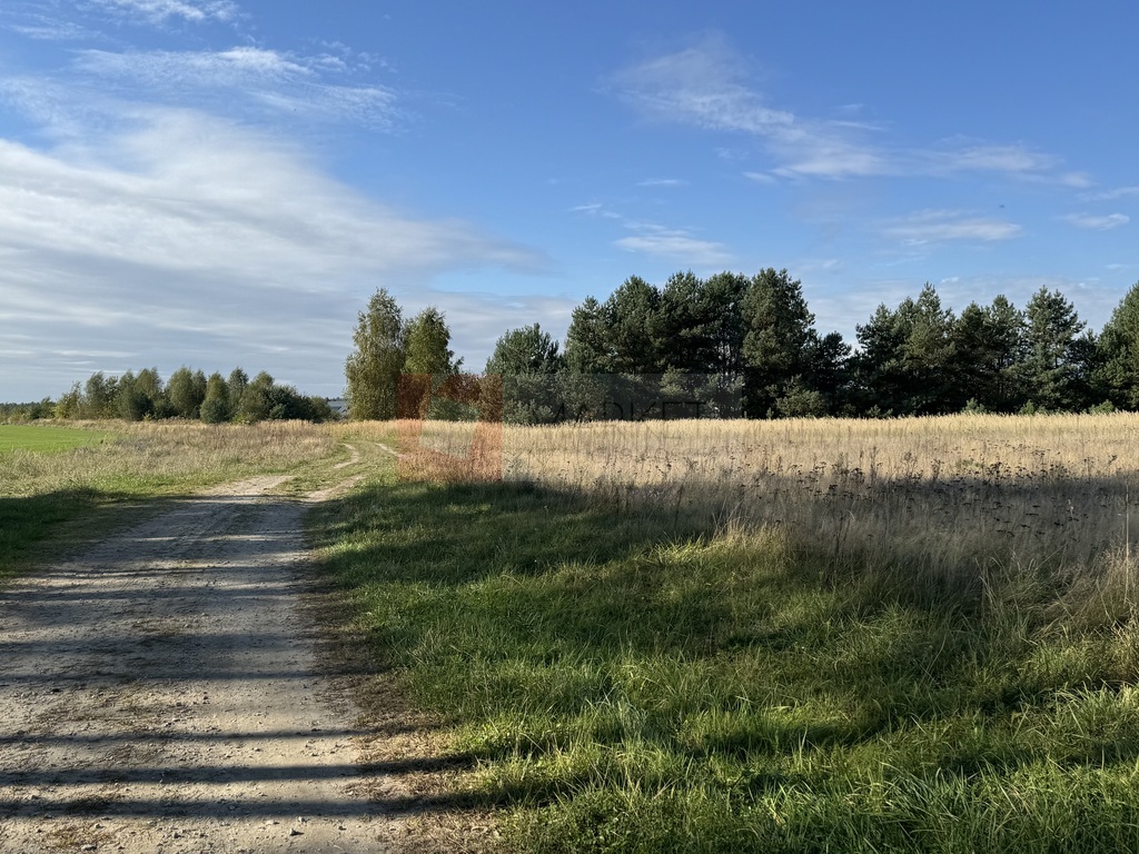 Działka budowlana w Żółwiej Błoci koło Goleniowa (7)