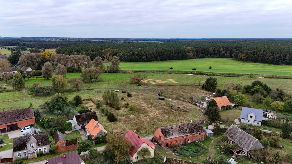 Duża działka, 2 domy, Poczernin (6)