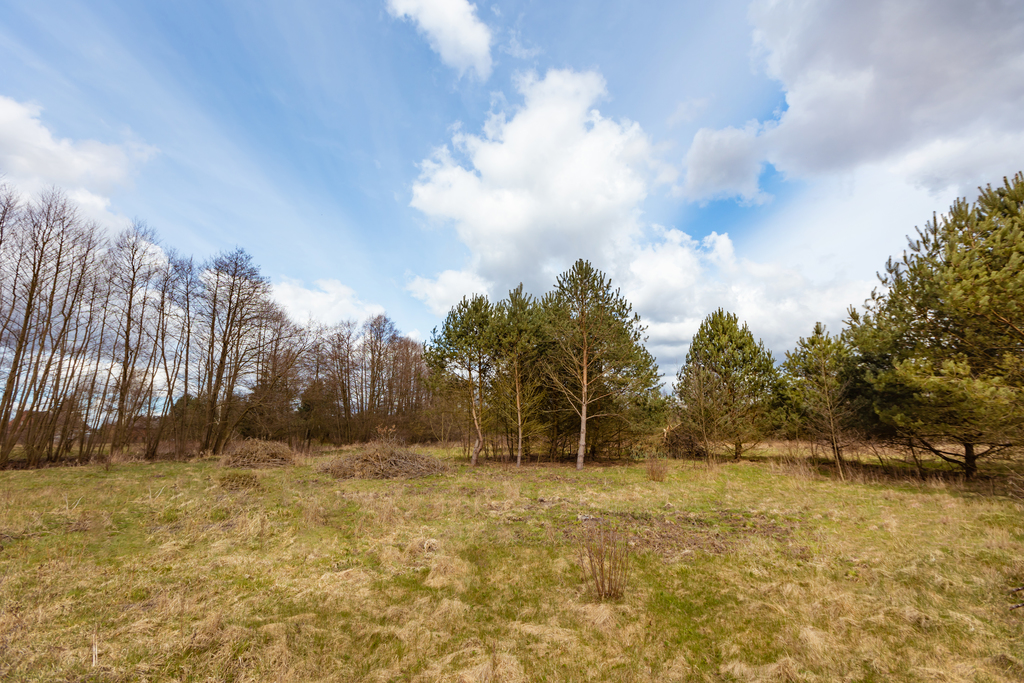 Rolno-budowlana, 3,252 m2, Krępsko  (1)