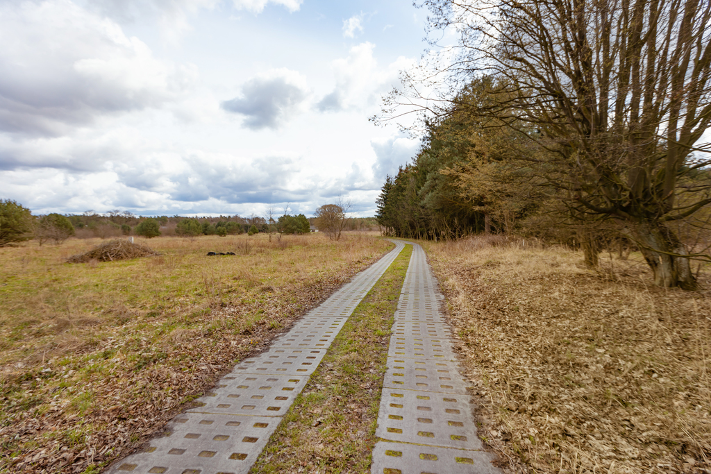 Rolno-budowlana, 3,252 m2, Krępsko  (3)