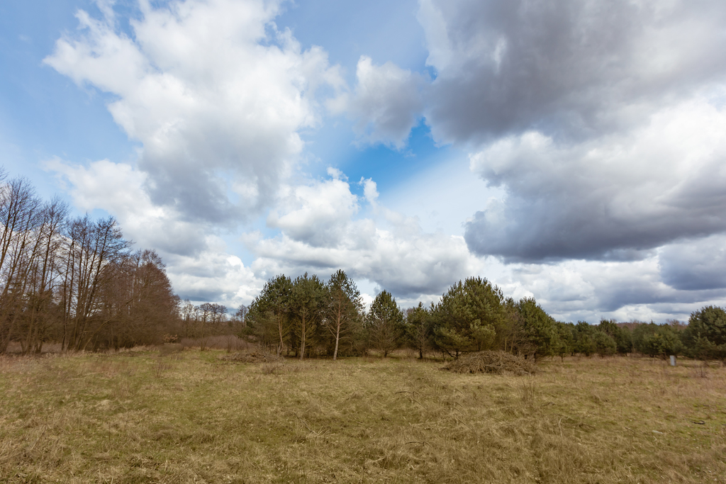 Rolno-budowlana, 3,252 m2, Krępsko  (4)