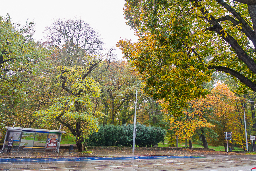 4 pokoje, 97,2 m2, parter, blisko Parku 720000 zł (21)