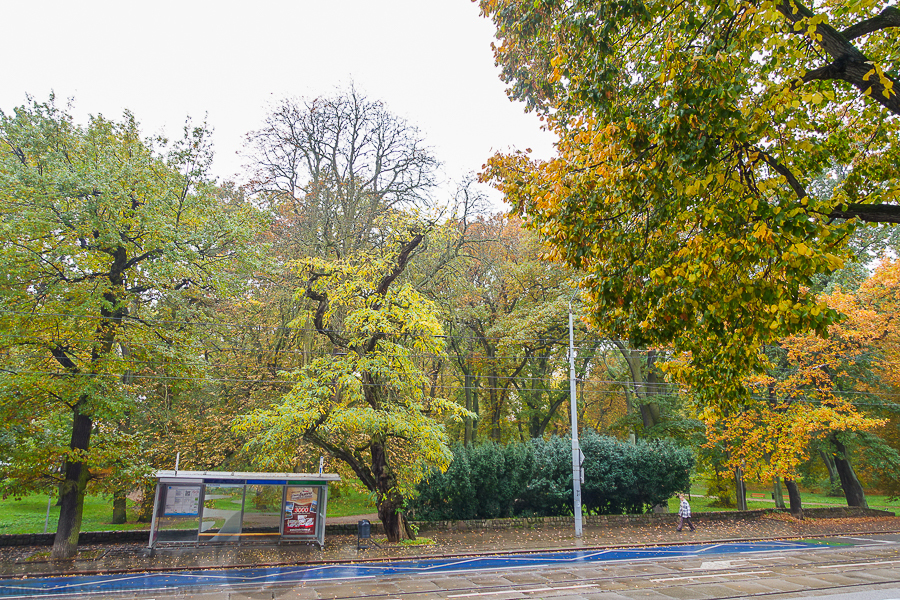 4 pokoje, 97,2 m2, parter, blisko Parku 720000 zł (22)