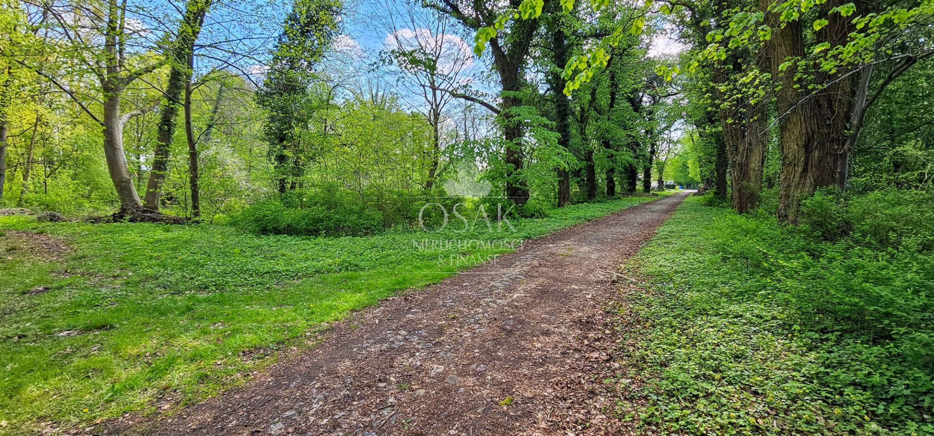 Na sprzedaż pięknie położona działka - Żerzyno  (6)