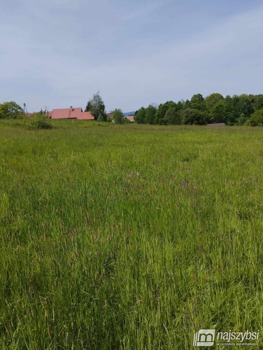 Mucharz- świetna działka z widokiem na jezioro (14)