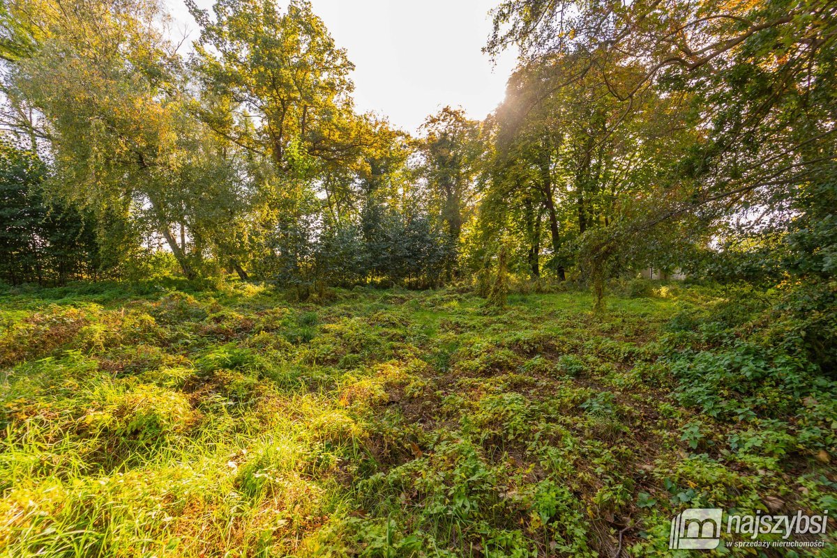 Dziwnów - działki inwest. z pozwoleniem na budowę (12)