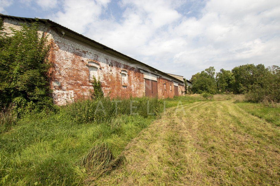 Działka z linią brzegową pod zabudowę z WZ (10)