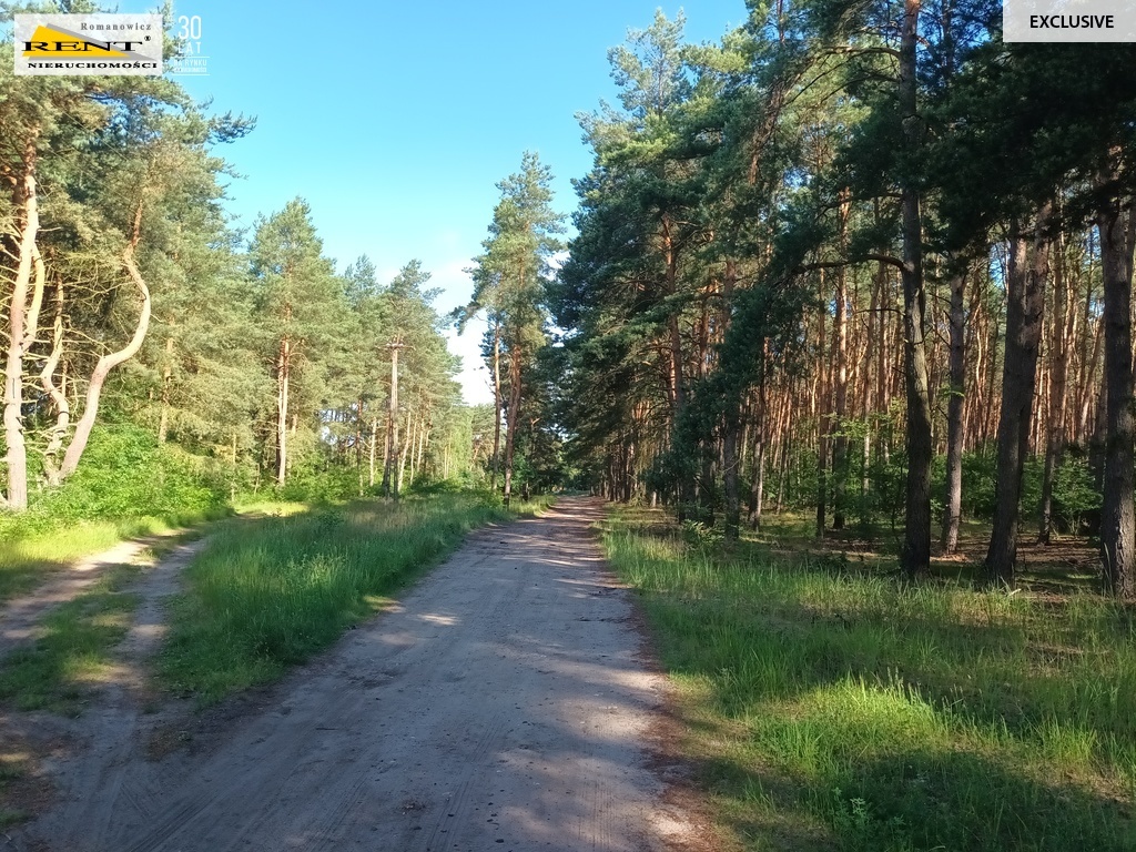 Działka budowlana przy lesie, MPZP, Wielgowo (11)