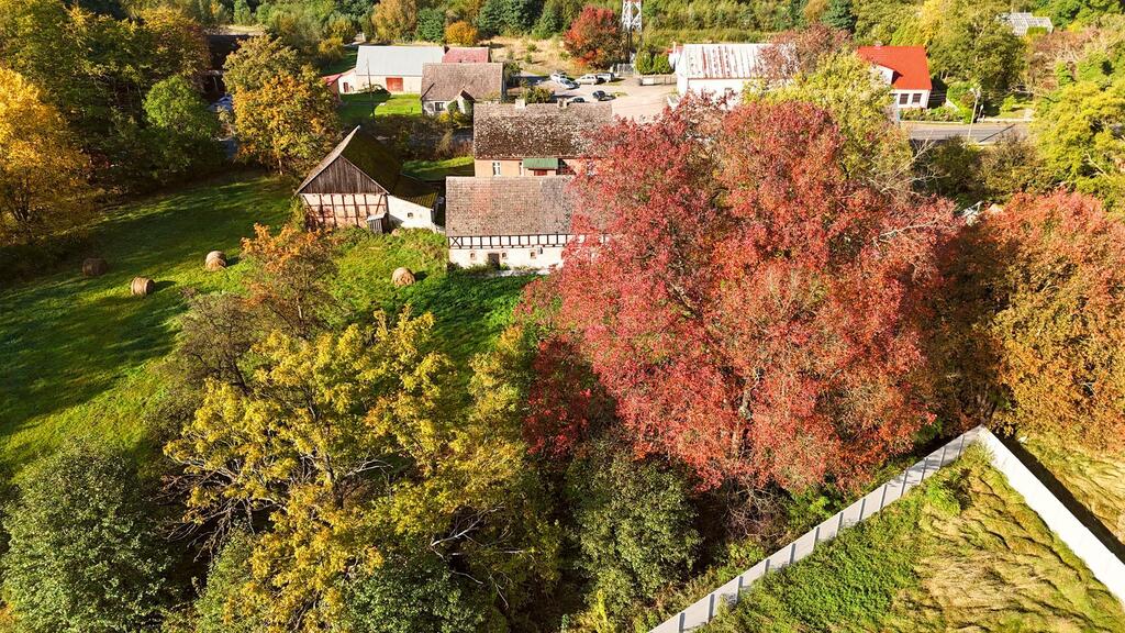 Miękowo dom z gospod. na sprzedaż , Gm.Goleniów (5)