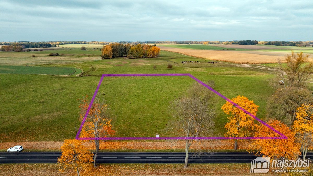 Korytowo - 2 działki łącznie 1,38ha (1)