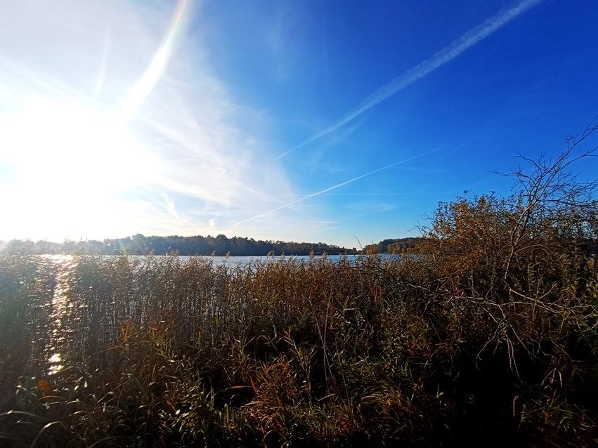 Działka nad Jeziorem Kuligi z linią brzegową  (2)