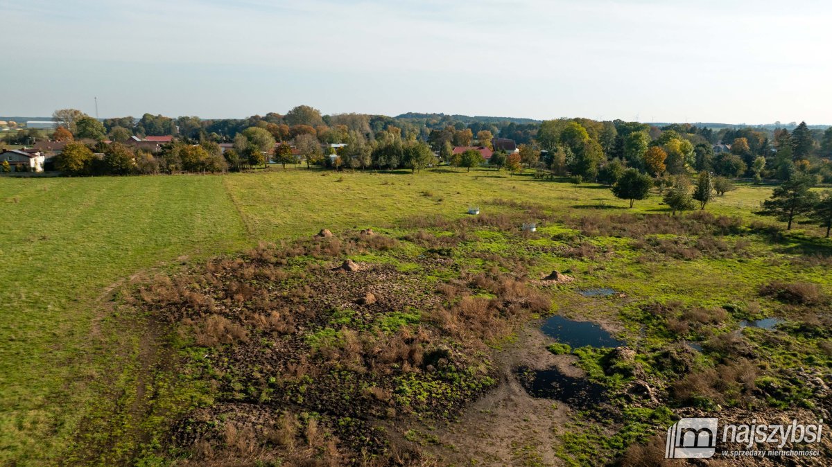 Sarbia- działka 6500m2, MPZP (2)