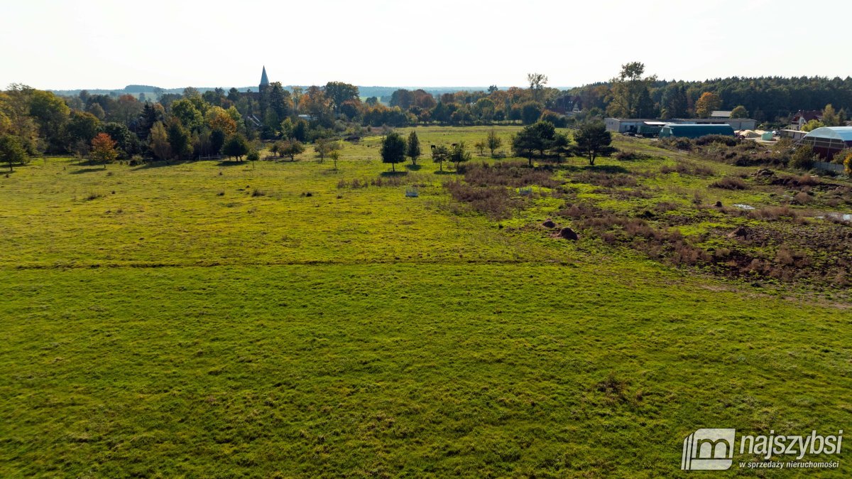 Sarbia- działka 6500m2, MPZP (3)