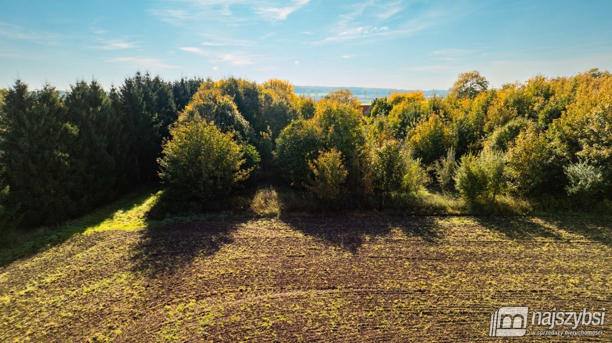 Brojce - działka 4100m2 przy drodze asfaltowej (11)