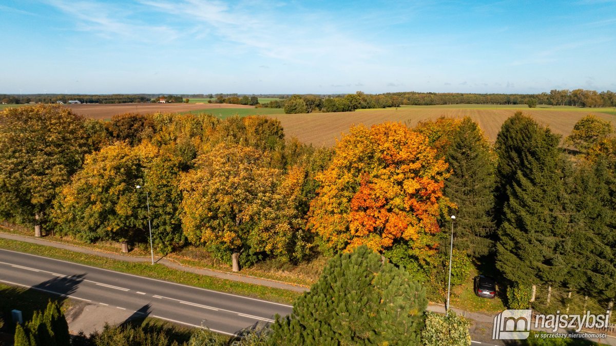 Brojce - działka 4100m2 przy drodze asfaltowej (12)