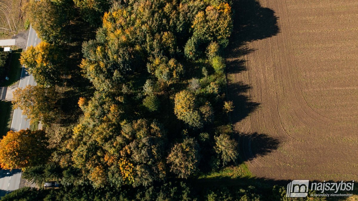 Brojce - działka 4100m2 przy drodze asfaltowej (5)