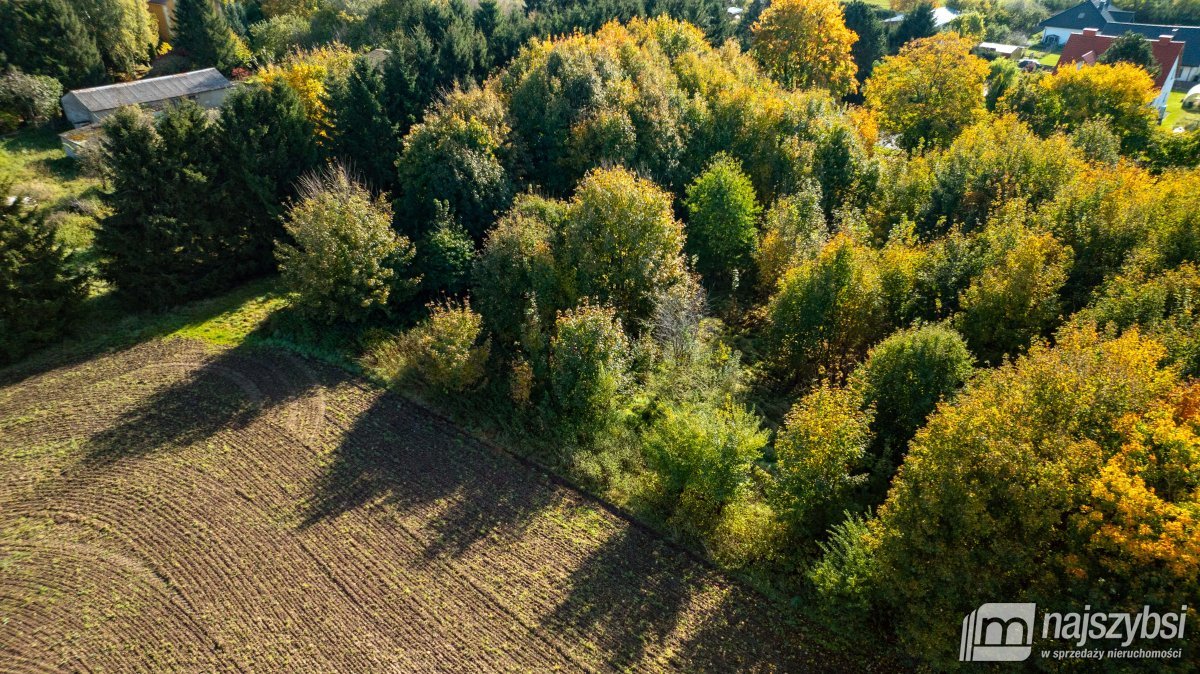 Brojce - działka 4100m2 przy drodze asfaltowej (7)