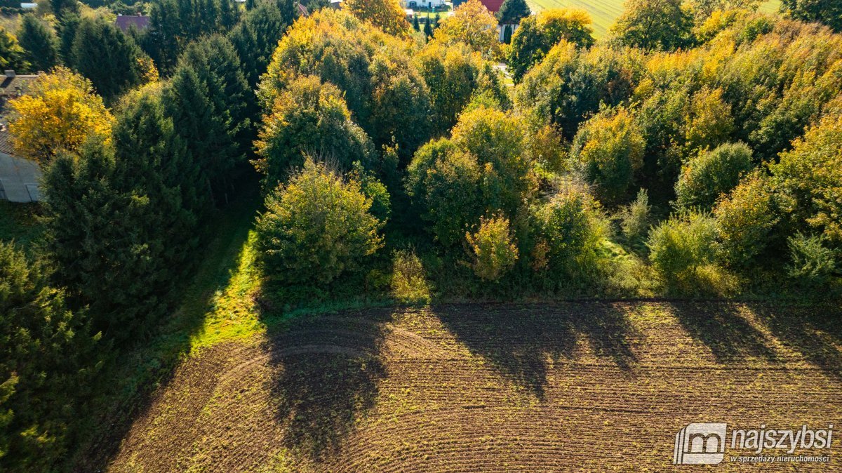 Brojce - działka 4100m2 przy drodze asfaltowej (8)