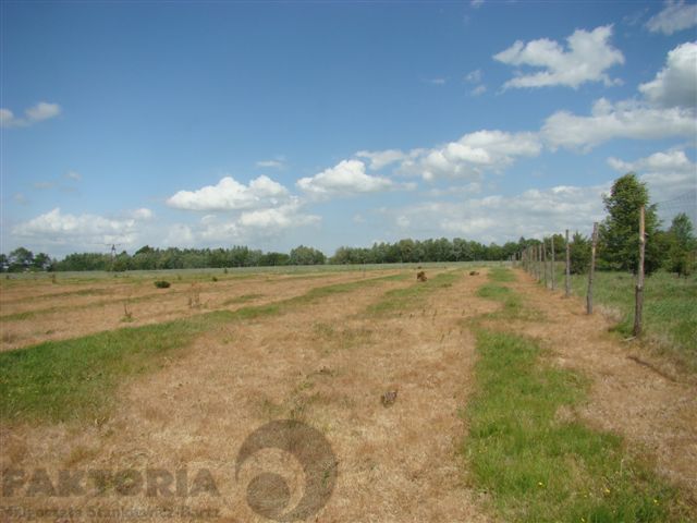 Stara Dąbrowa działka 1340m2 55 zł/m2 (10)