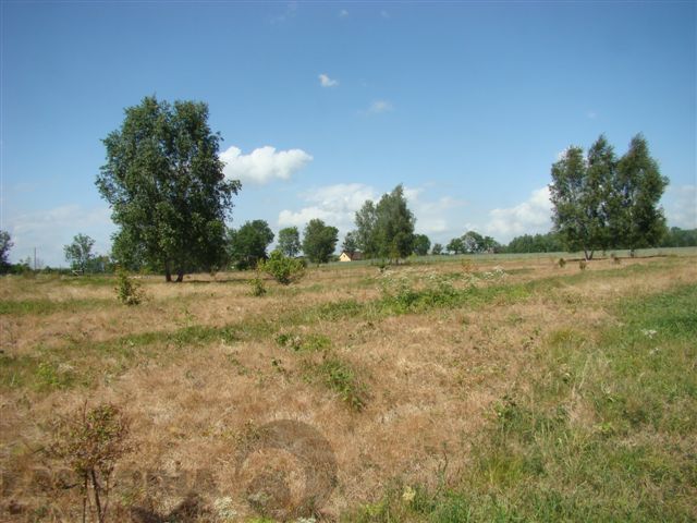 Stara Dąbrowa działka 1340m2 55 zł/m2 (12)