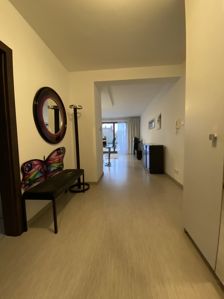 Apartament z garażem w pobliżu parku na Pogodnie (13)