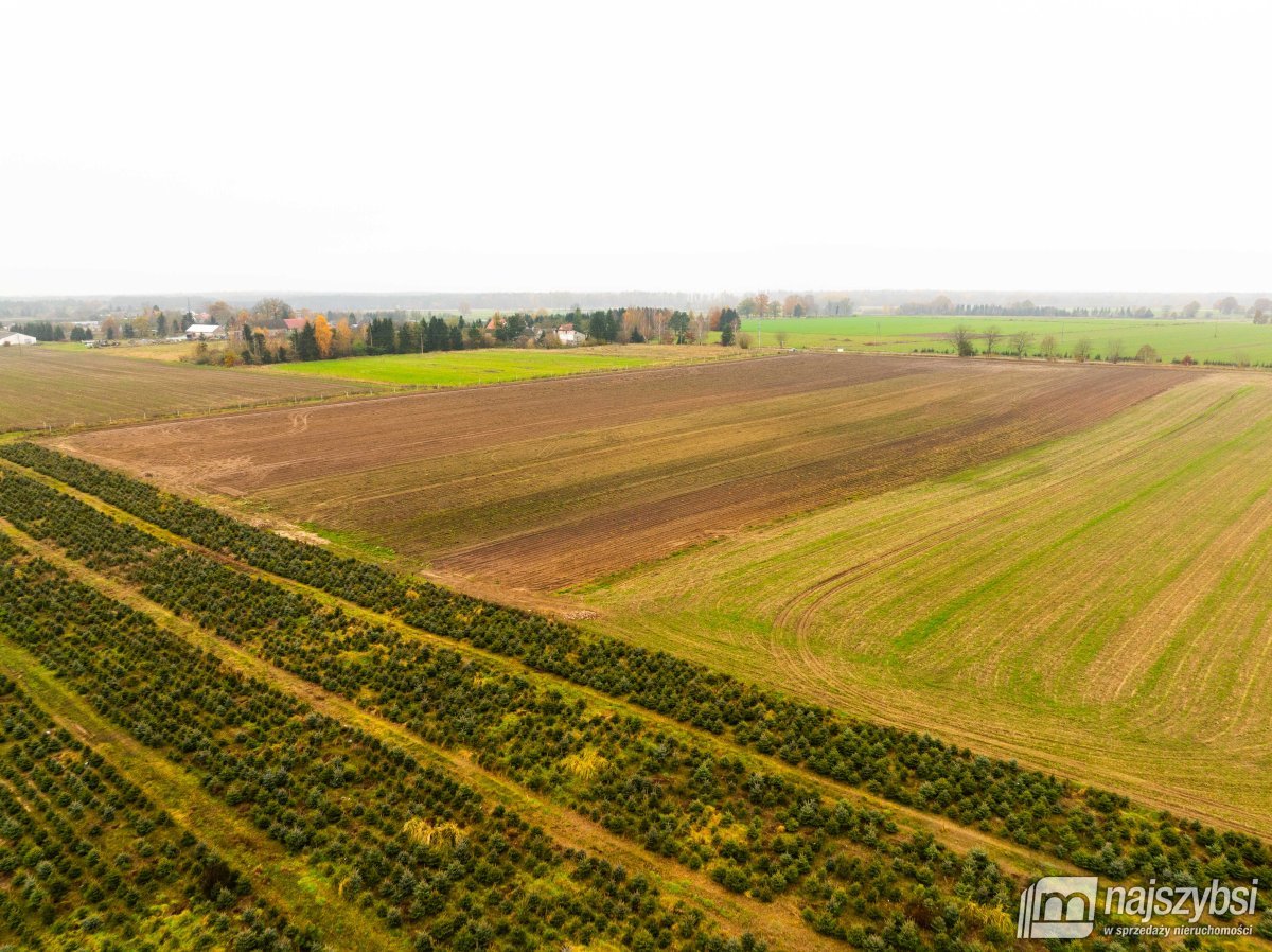 Osina- działka budowlana 1498 m2  (13)