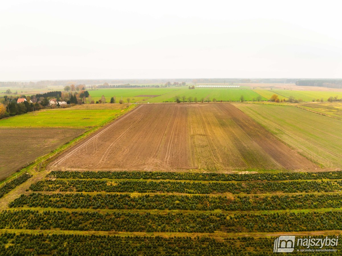 Osina- działka budowlana 1498 m2  (14)